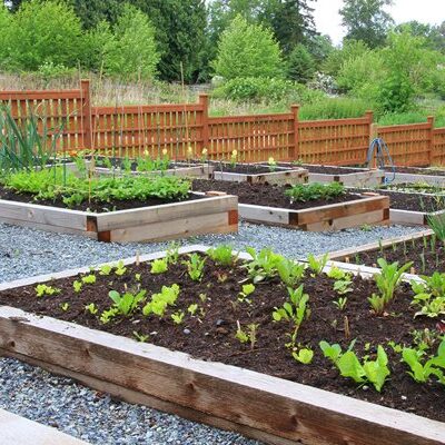 Quality cheap topsoil for allotments and grow your own.
