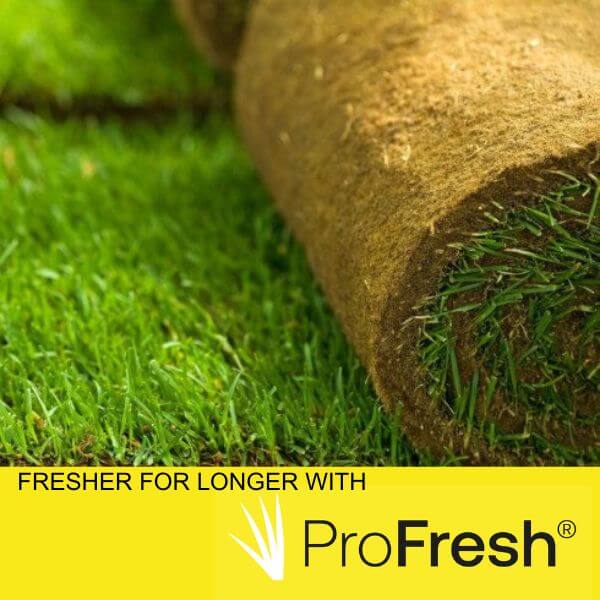 Hallstone turf - fresh garden turf treated with ProFresh