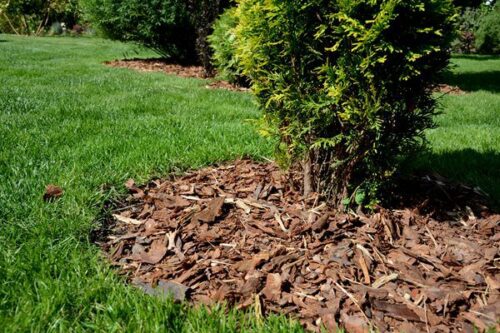 Bark Mulch - Image 5