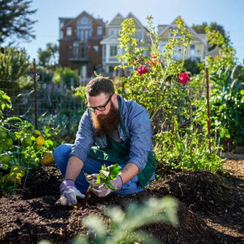 Topsoil for vegetables, beds and borders