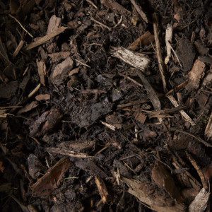 Verve Dark brown Large Bark chippings 100L Bag