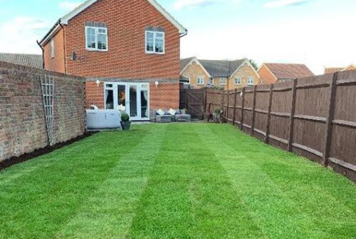 Turf - Image 3