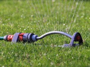 Watering cheap new turf