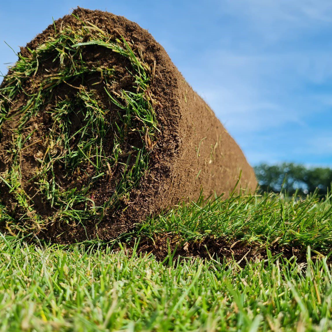 Garden Turf Roll - Hallstone Direct - Google Square