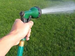 Watering turf with a hose and shower gun